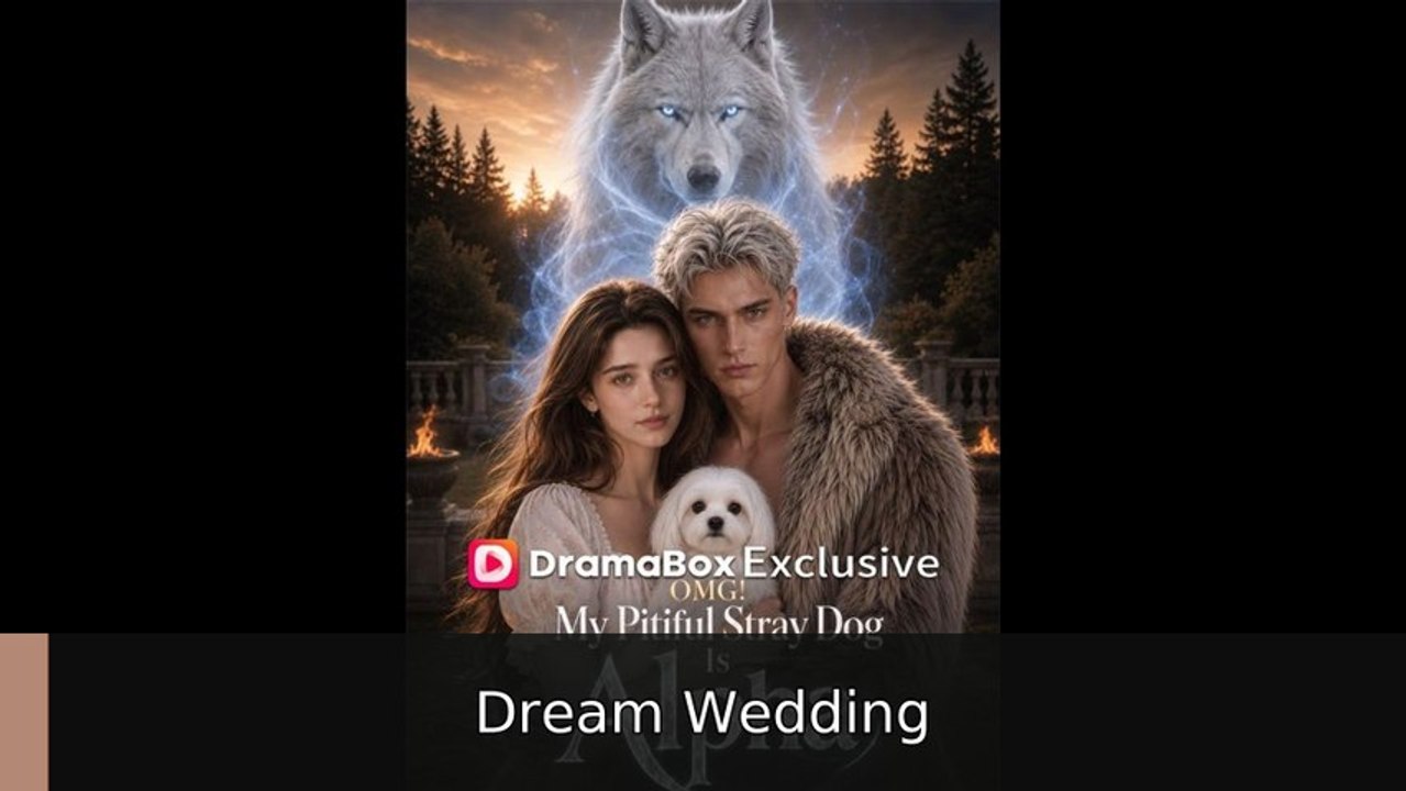 OMG! My Pitiful Stray Dog Is Alpha - Full | Dream Wedding