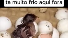 Ta muito frio