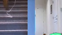 Velozes e Furiosos - Versão Gatos