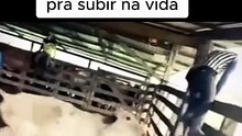 Aquele empurrãozinho pra subir na vida