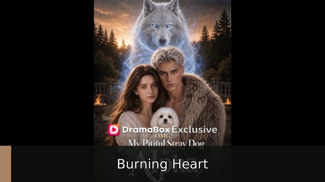 OMG! My Pitiful Stray Dog Is Alpha - Full EP | Burning Heart