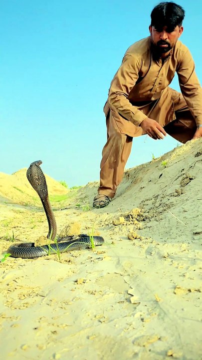 Khetoo ki fasal me nag