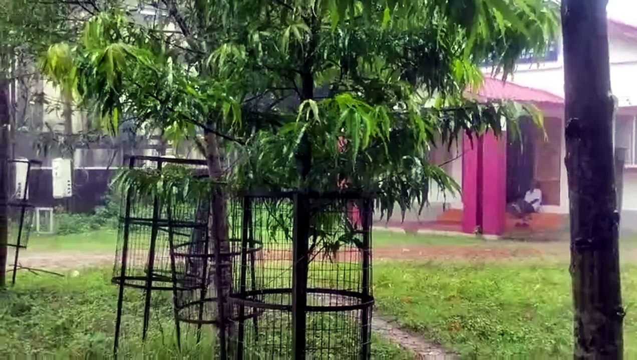 Afternoon Rain on a Bright Day | Refreshing Weather in Agartala, Tripura | MindTrekVlog