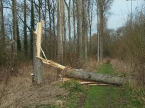 Vieilles chansons traditionnelles -ne pleure pas jeannette