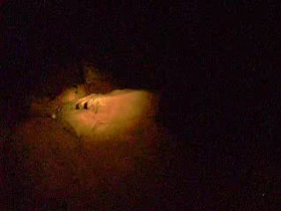 chatieres salle huitres alkarou juillet 2008 catacombe