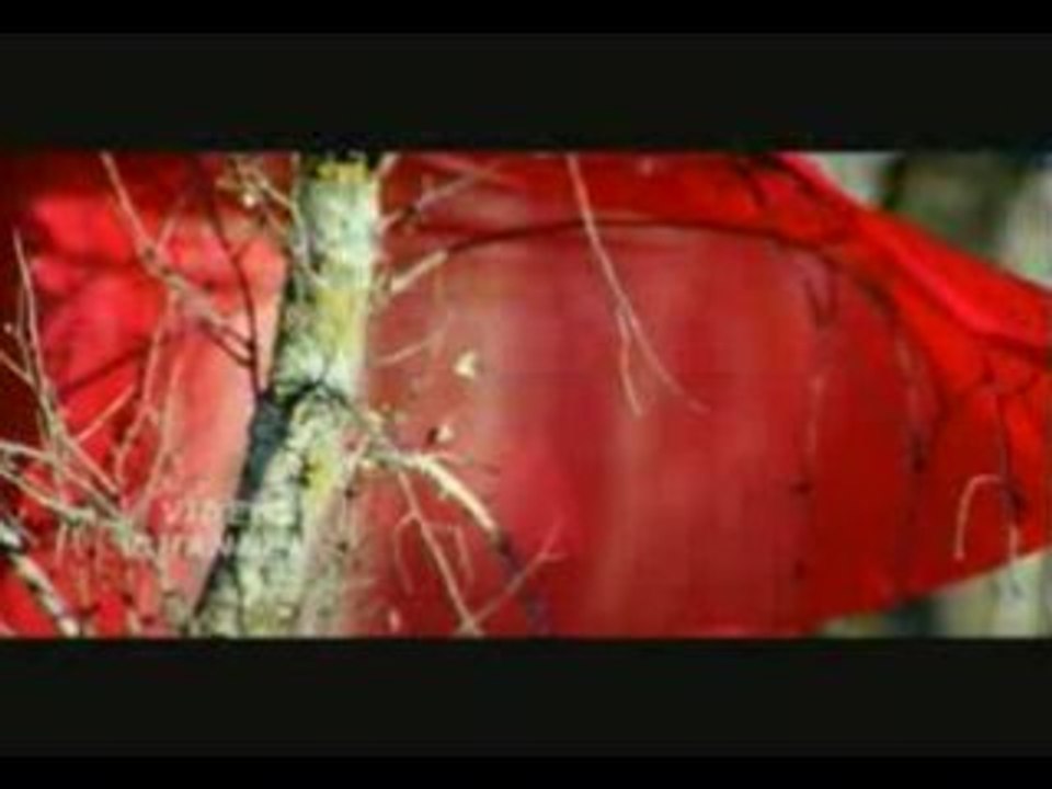 Tum-Bin-new