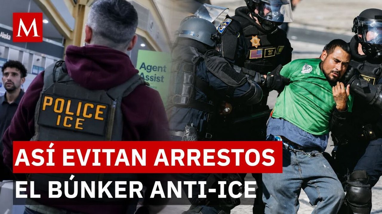 ¿Héroes o fuera de la ley? La red clandestina que desafía a ICE en Estados Unidos