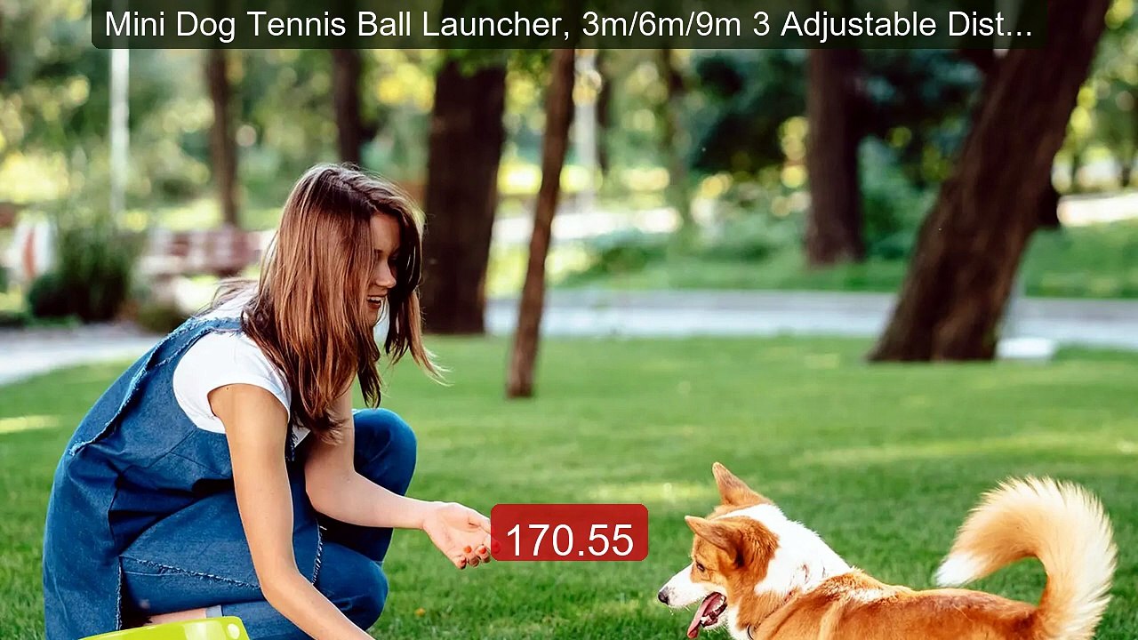 Mini Dog Tennis Ball Launcher, 3m/6m/9m 3 Adjustable Distan... -- Top Pick 2026 | Unbeatable Price!