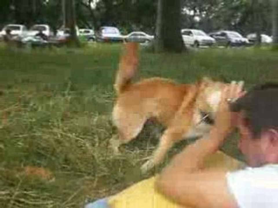 juin 2008