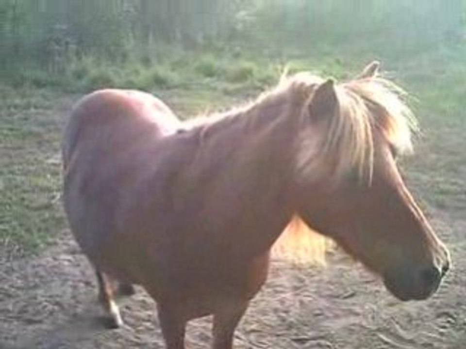 Visite a mon loulou en vacances