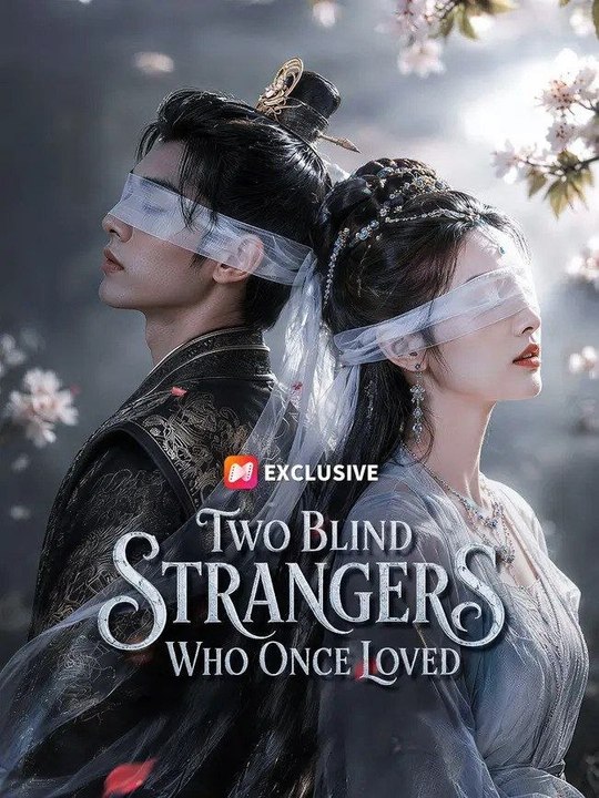 Two Blind Strangers Who Once Loved FULL MOVIES ENGLISH SUB