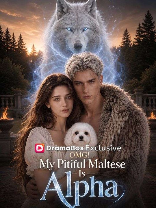 OMG! My Pitiful Stray Dog Is Alpha丨New Movie ✅