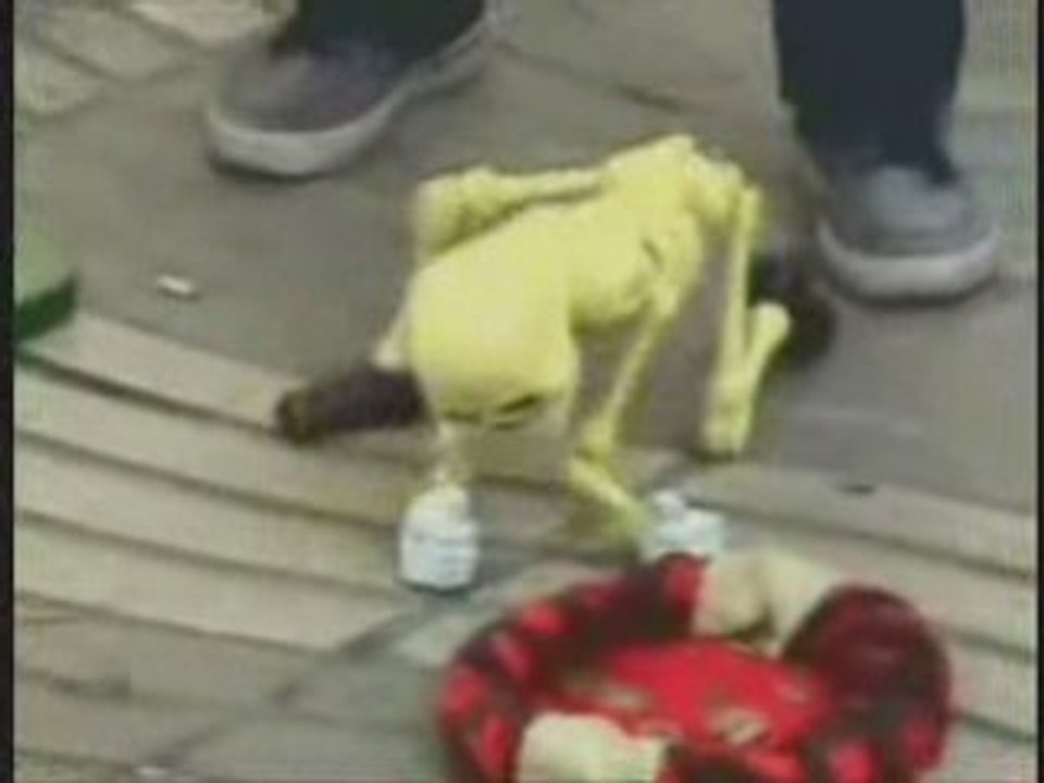 le squelette danseur