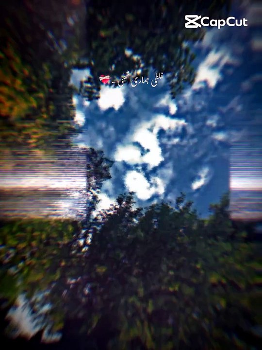 1000066183