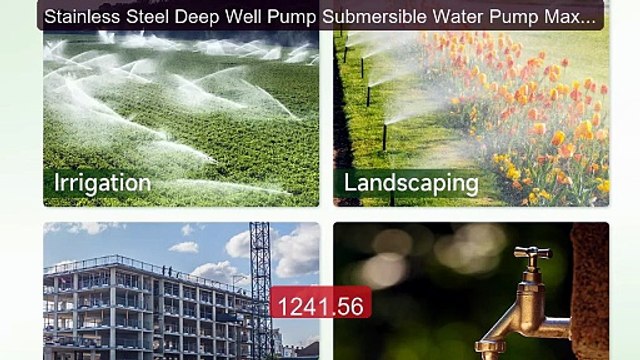 Stainless Steel Deep Well Pump Submersible Water Pump Maxim... Top Pick 2026 | Unbeatable Price!