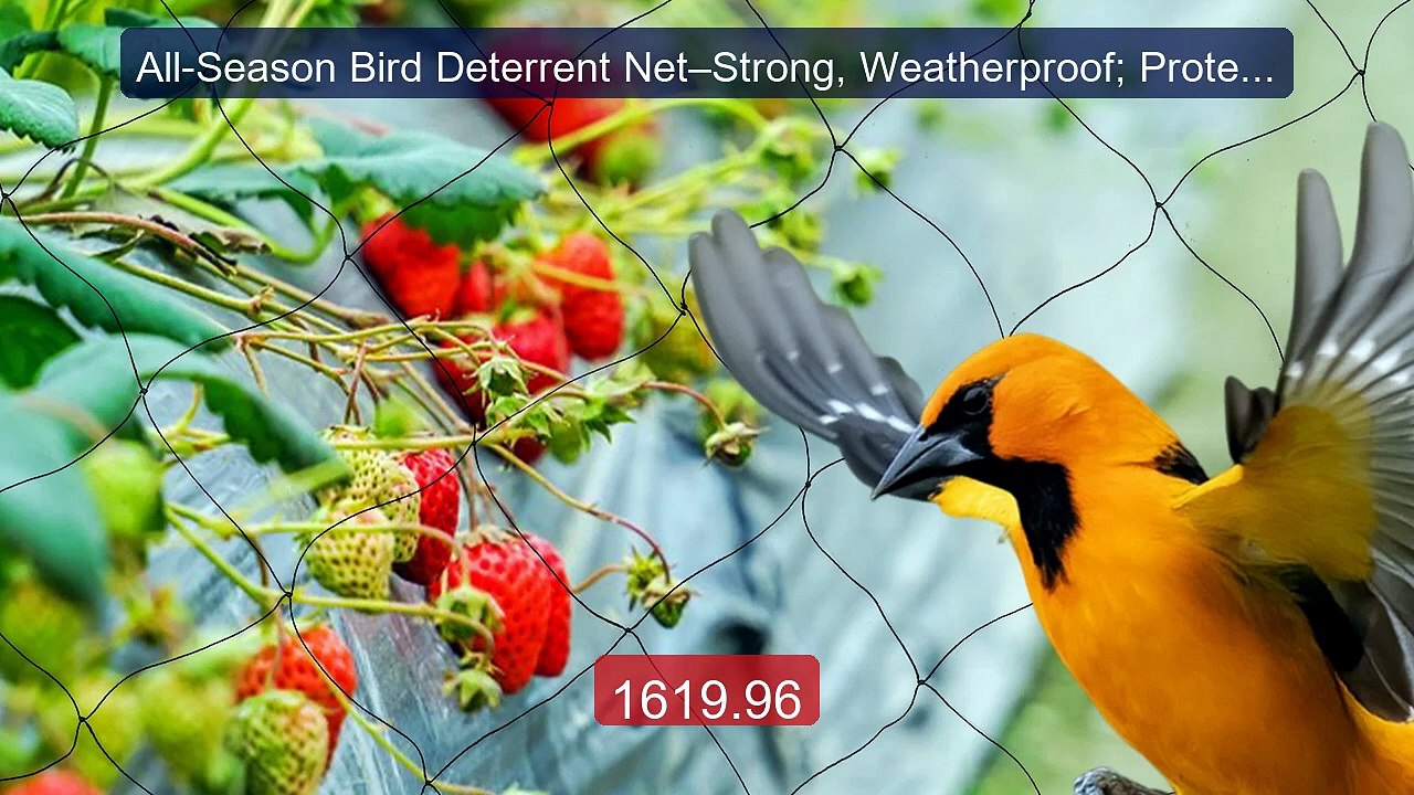 All-Season Bird Deterrent Net–Strong, Weatherproof; Protect F... -- Amazing Value 2026 | Must Have!