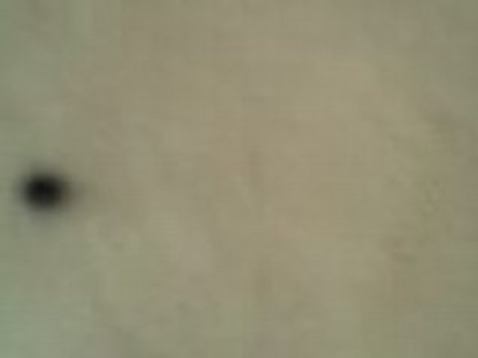 Mouche