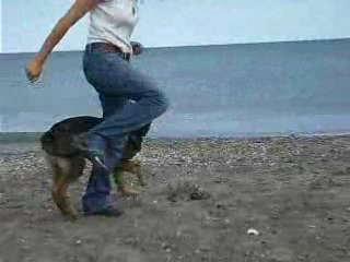 Diosko et l'obérythmée