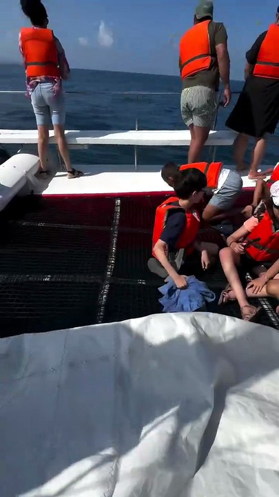 Tubarão com entre três a quatro metros avistados ao largo da Nazaré