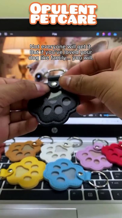 Leather Paw Keychain – Creative Pet Hair Storage Ornaments