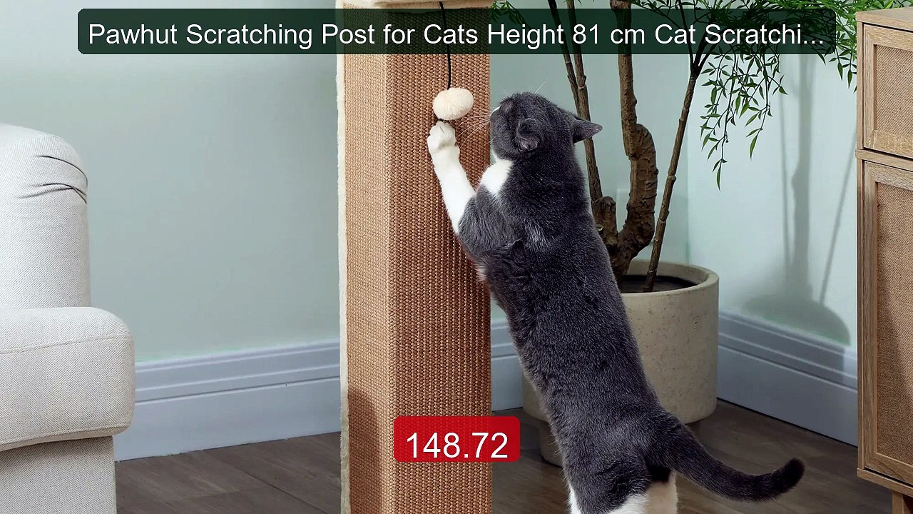Pawhut Scratching Post for Cats Height 81 cm Cat Scratching Post wi... -- Top Rated 2026 | Buy Now!
