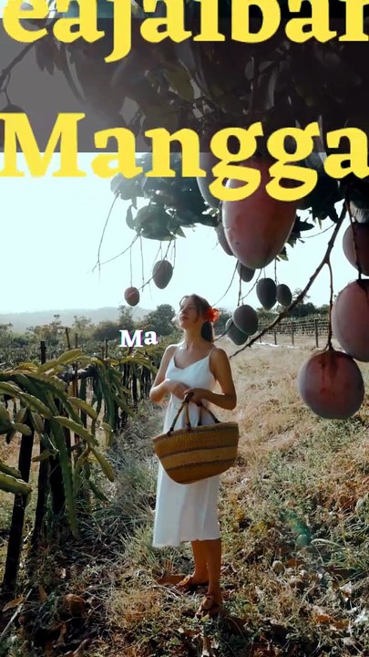 manfaat buah mangga untuk kesehatan kita