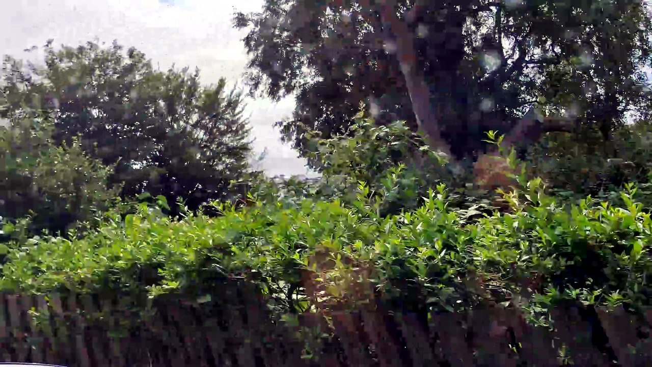 Vid Östra Kustvägen. 19 Juli 2026