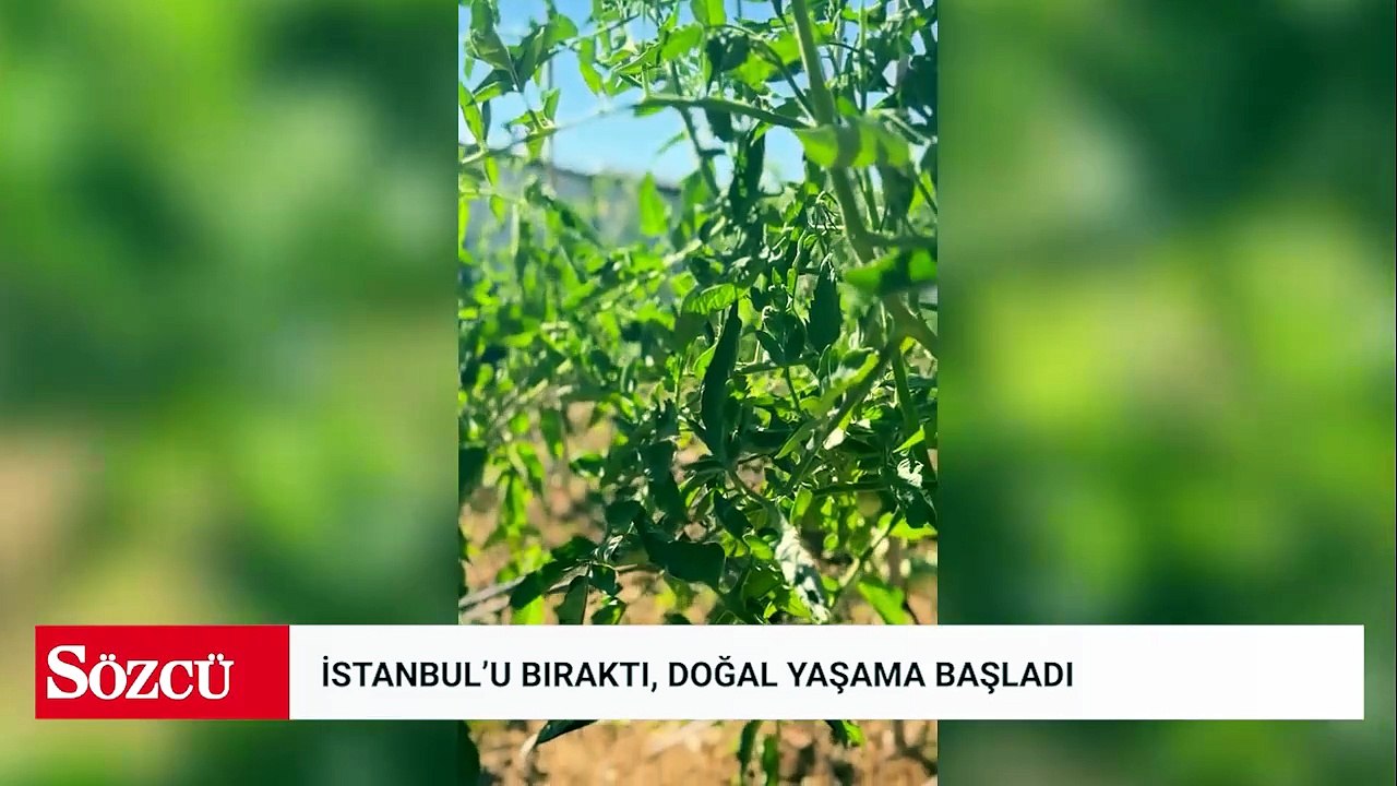 İstanbul'u bıraktı, doğal yaşama başladı: Dalından biber, kümesten yumurta topladı