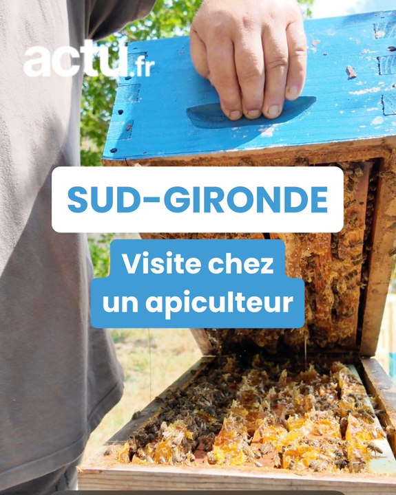 Les apiculteurs du Sud-Gironde nous ouvrent leurs portes