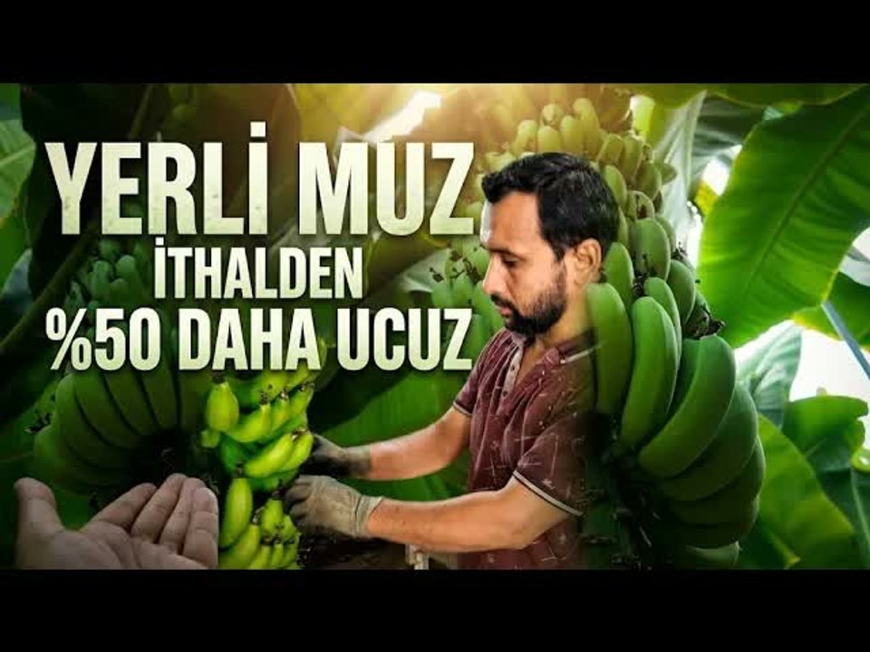 Üreticilerden Çağrı İthal Muz Almayın, Yerli Muz Tüketin