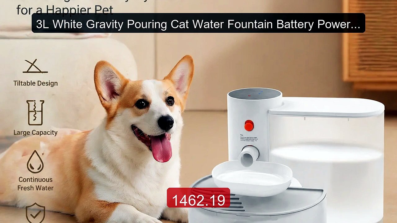 3L White Gravity Pouring Cat Water Fountain Battery Powered 180-Day... -- Top Rated 2026 | Buy Now!