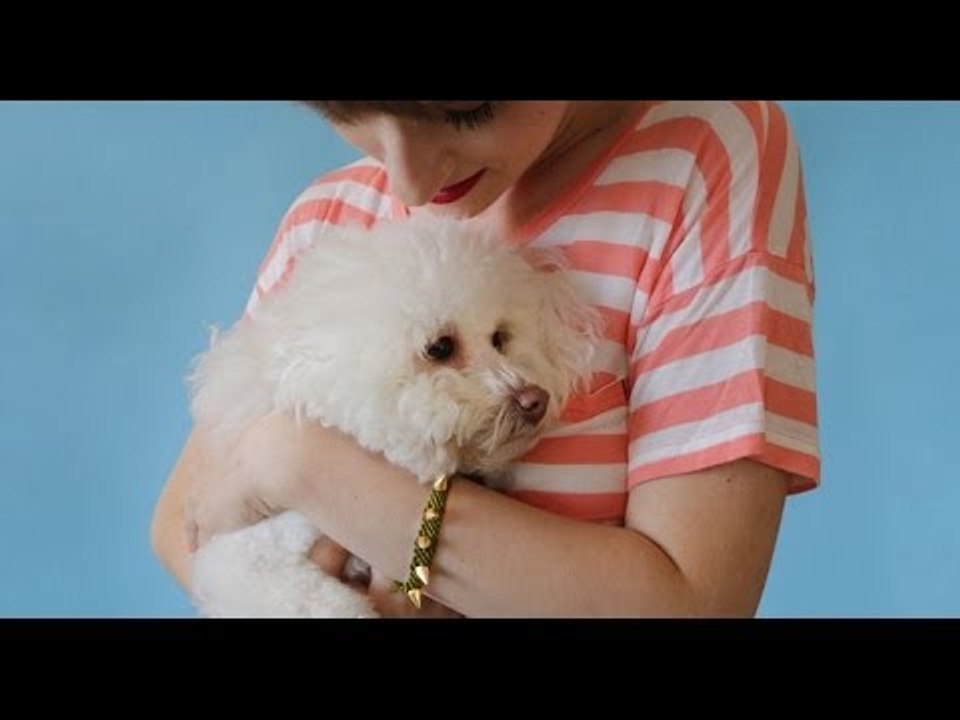 I-DIY: A Pretty Punk Friendship Bracelet For People & Puppies