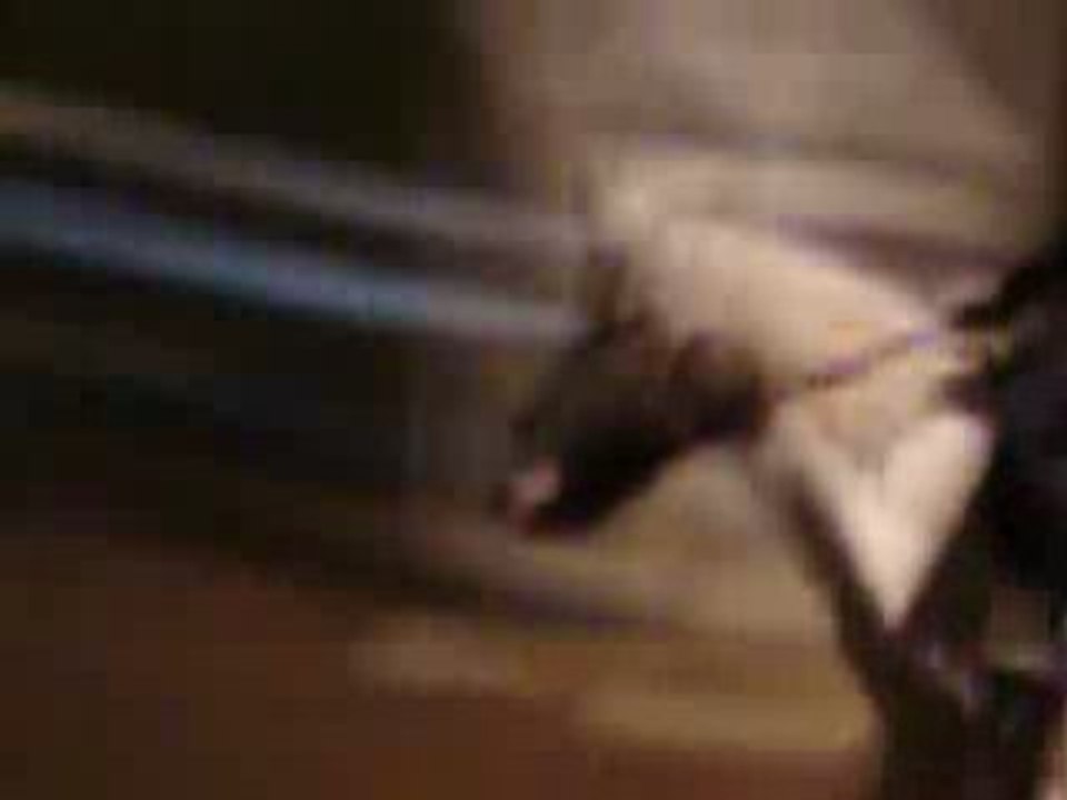 [ Concours à Anadé ]