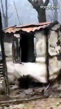 Así ha quedado un camping en Ávila tras ser arrasado por las llamas