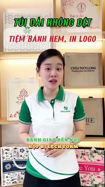 MẪU TÚI VẢI KHÔNG DỆT ĐỰNG BÁNH KEM THIẾT KẾ DÀY DẶN