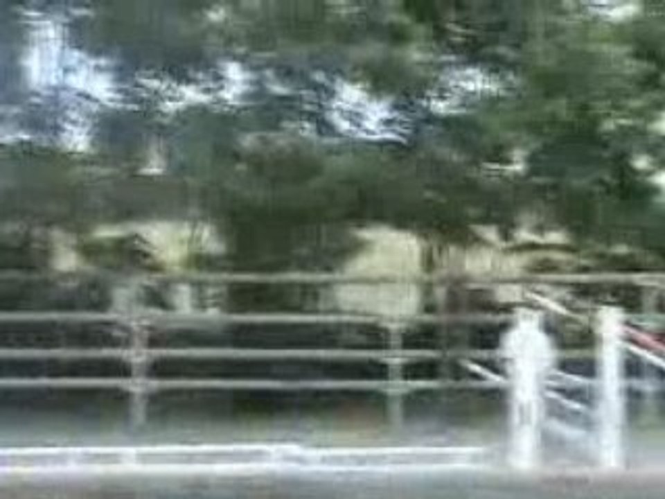 Sael saut liberté modif