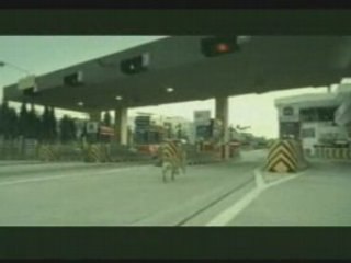 Reifenwerbung Tierisches