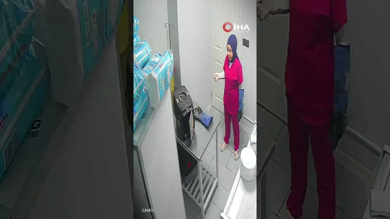 Sokak Kedisi Veteriner Kliniğini Birbirine Kattı!