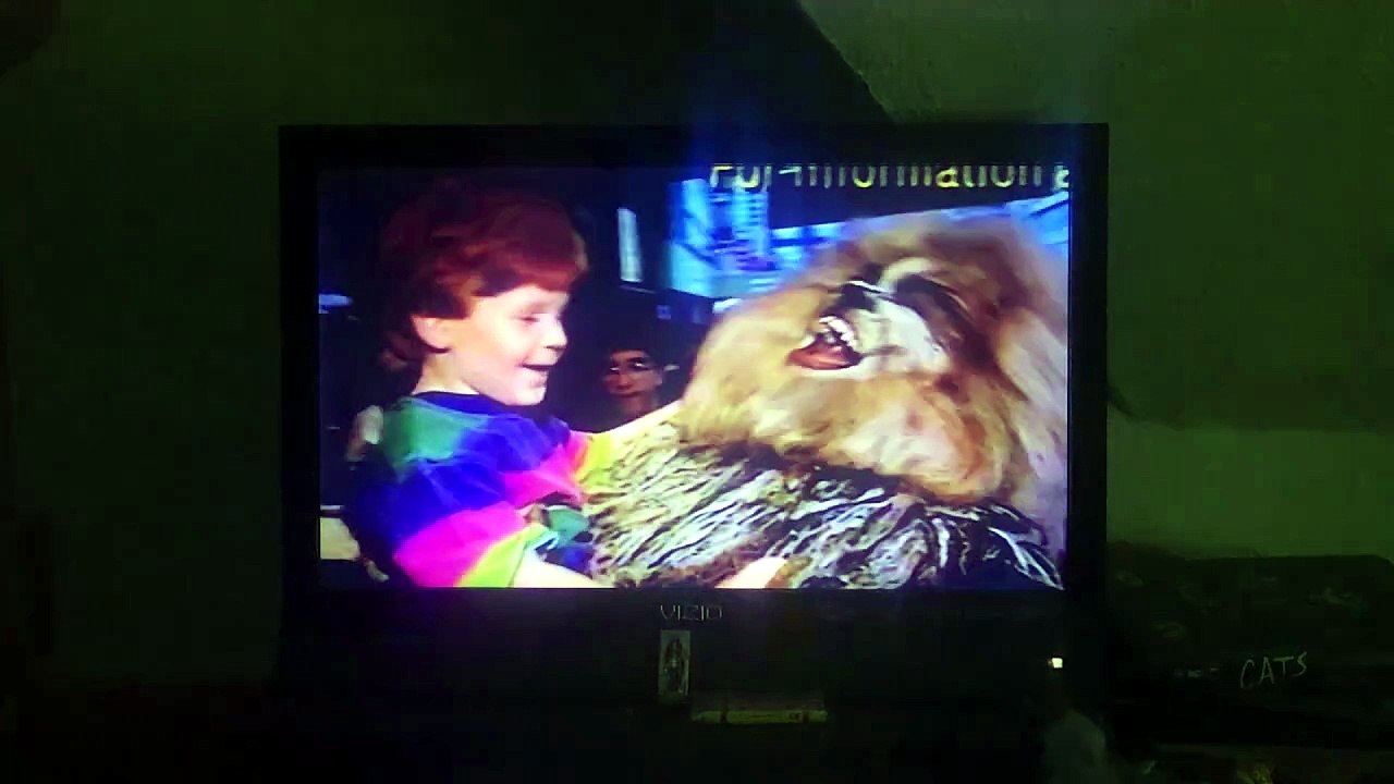 Opening to Cats 1998 VHS