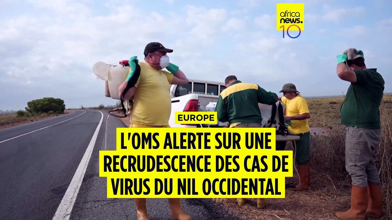 Europe : l'OMS alerte sur une recrudescence des cas de virus du Nil occidental
