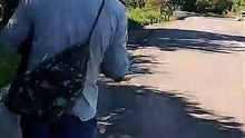Caminhão fazendo alegria