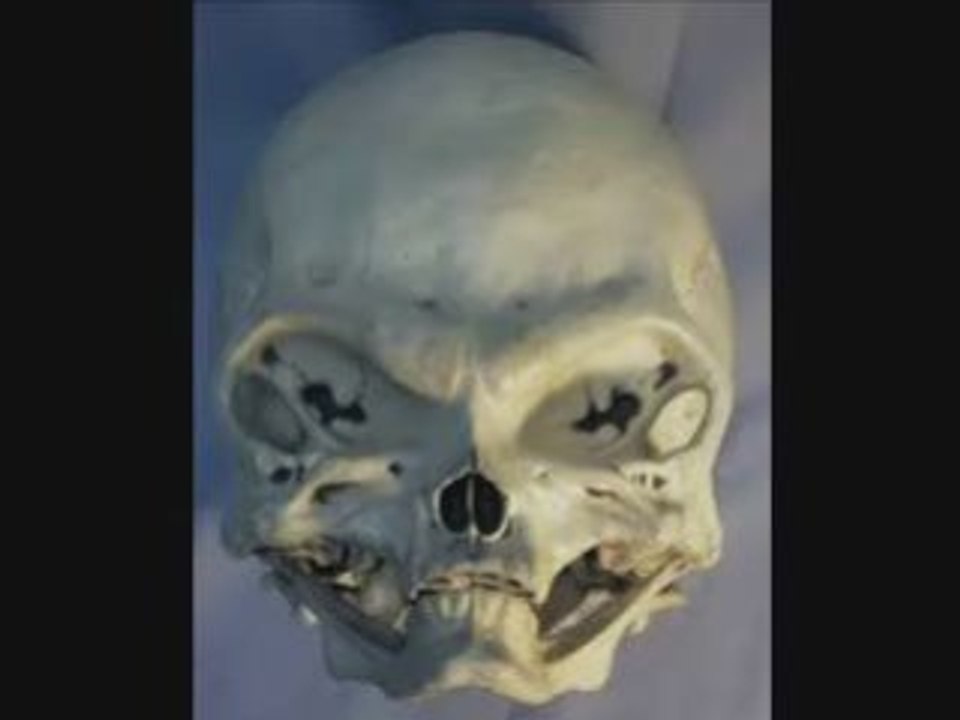 _-_Alien_Photos_II