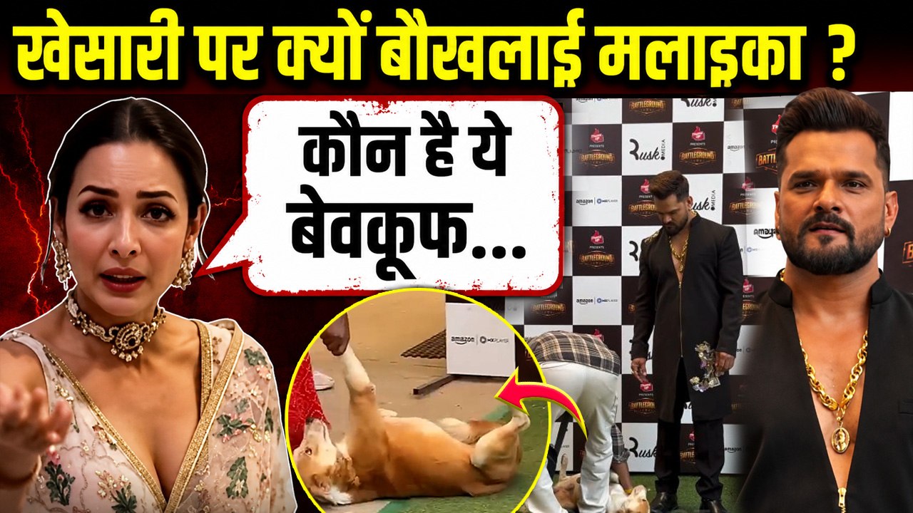 Malaika Arora Khesari Lal Yadav पर क्यों हुई Angry, ये बेवकूफ कौन है...| Boldsky