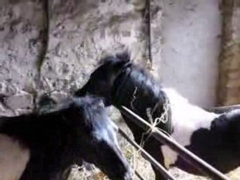 Sports Vacances 2008