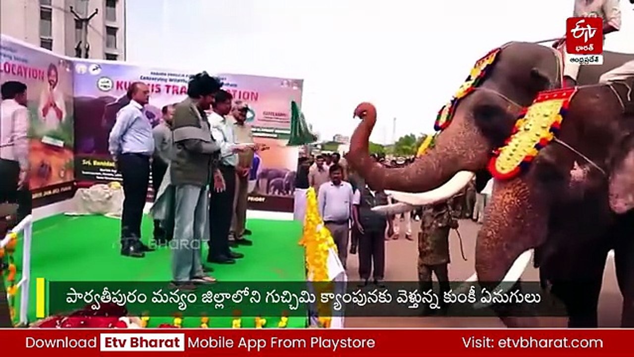 కుంకీ ఏనుగులకు డిప్యూటీ సీఎం స్వాగతం - జయంత్, అభిమన్యుకు ఆహారం అందించిన పవన్