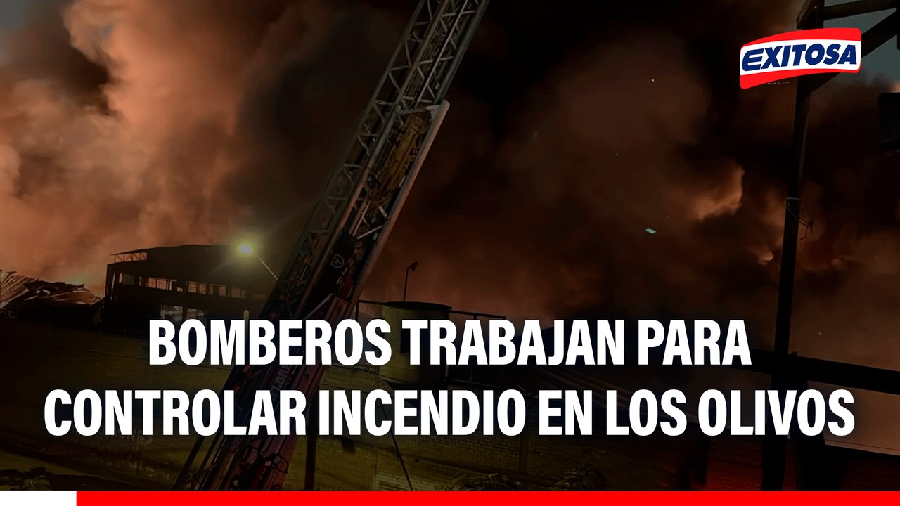 Incendio en Los Olivos: Bomberos trabajan para controlar el siniestro