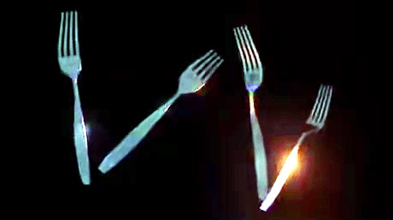 brand_new_fork