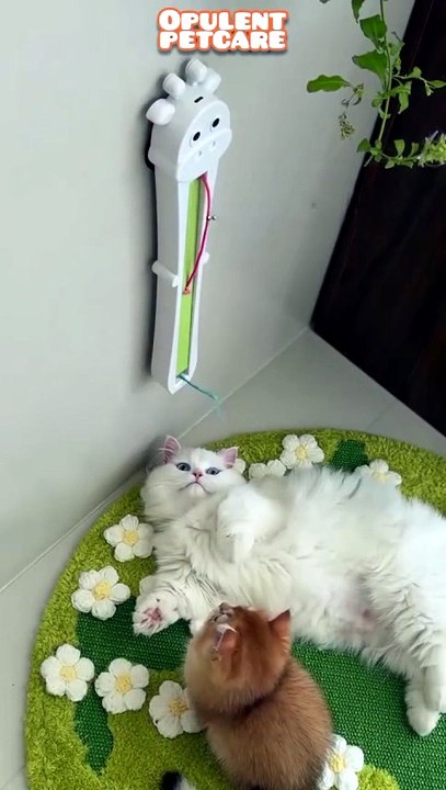 Wall-Mounted Electronic Cat Toy — Rechargeable Flying Rope Exerciser | Opulent Petcare