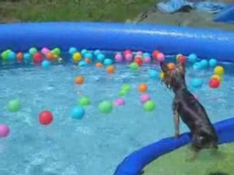 roxy plonge et nage