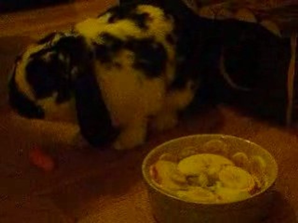 Happy Birthday Obi Wan